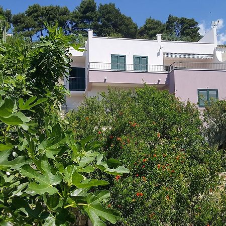 Apartments Pero Podgora Exterior foto