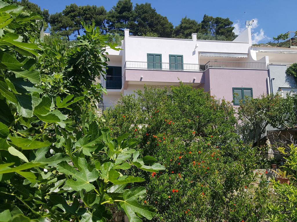 Apartments Pero Podgora Exterior foto